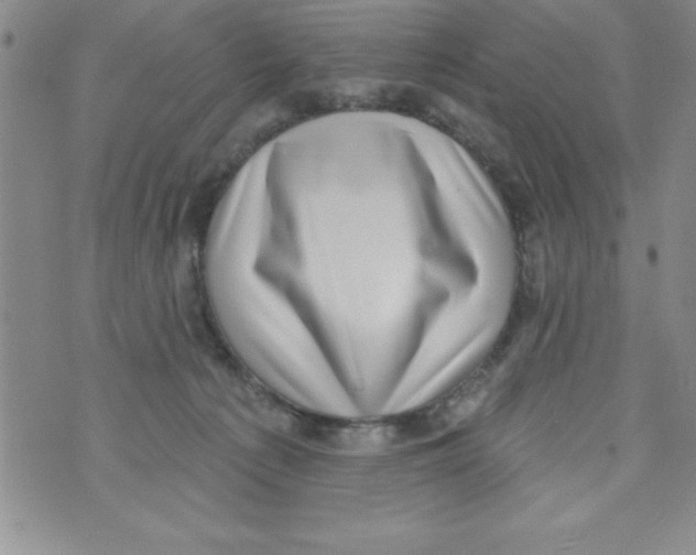 X0000071800225200607282335