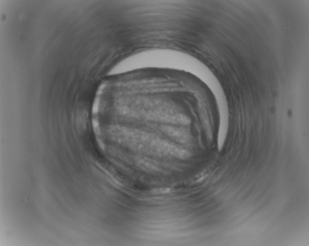 X0000071800227200607282335