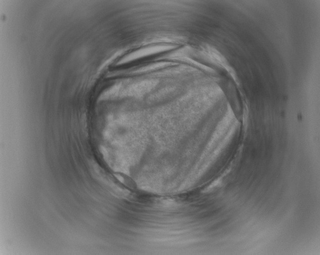 X0000071800249200607282335