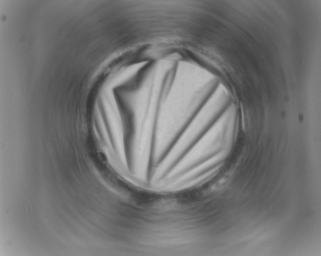 X0000071800252200607282335