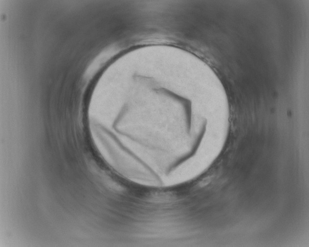 X0000071800296200607282334