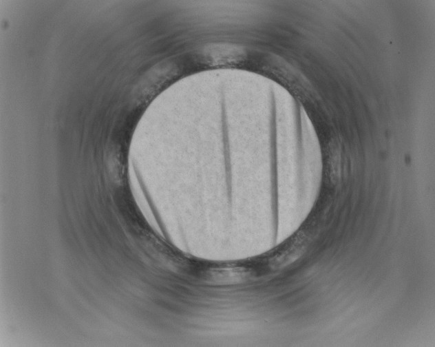X0000071800316200607282334