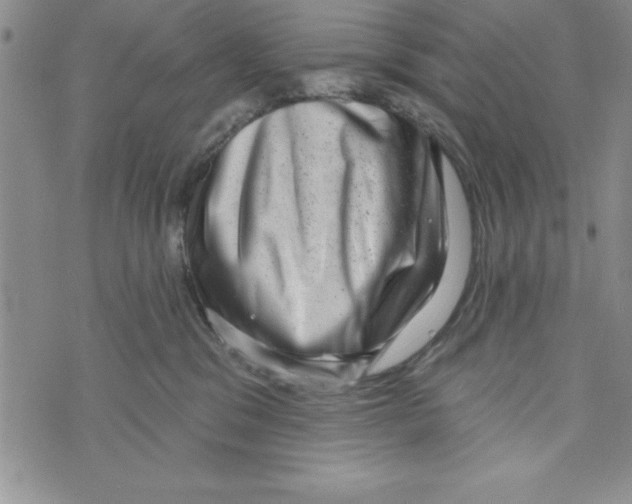 X0000071800329200607282334