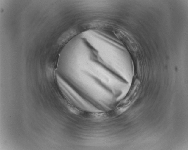 X0000071800333200607282334