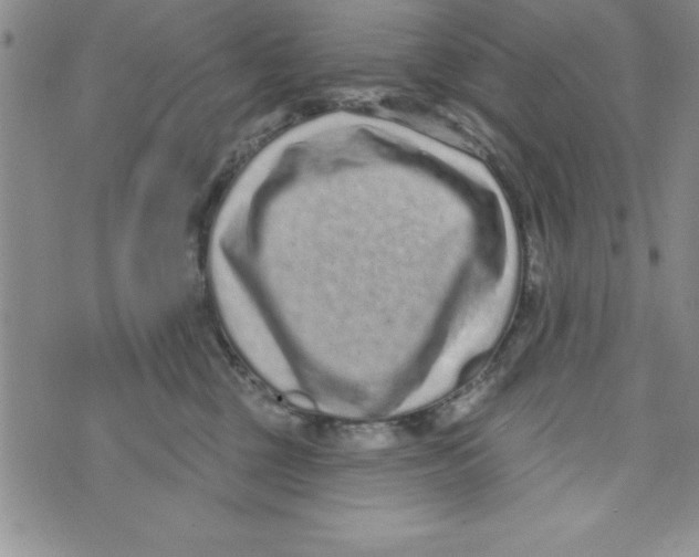 X0000071800377200607282334