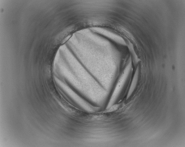 X0000071800401200607282333