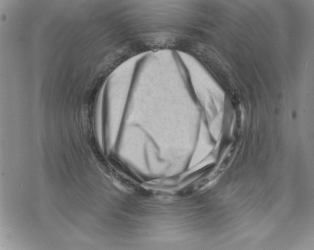 X0000071800416200607282332