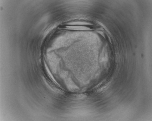 X0000071800443200607282332