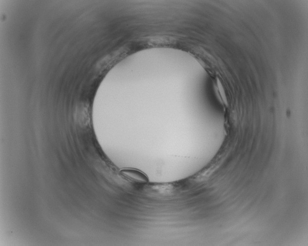 X0000071800478200607282332