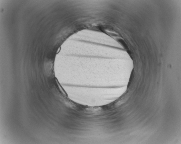 X0000071800480200607282332