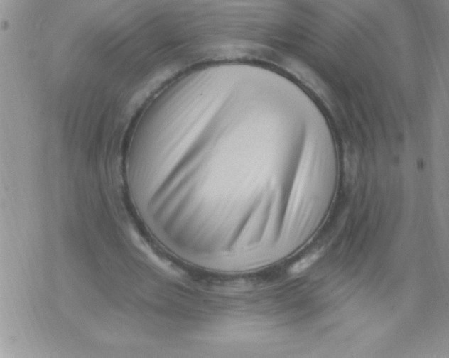 X0000071800485200607282331