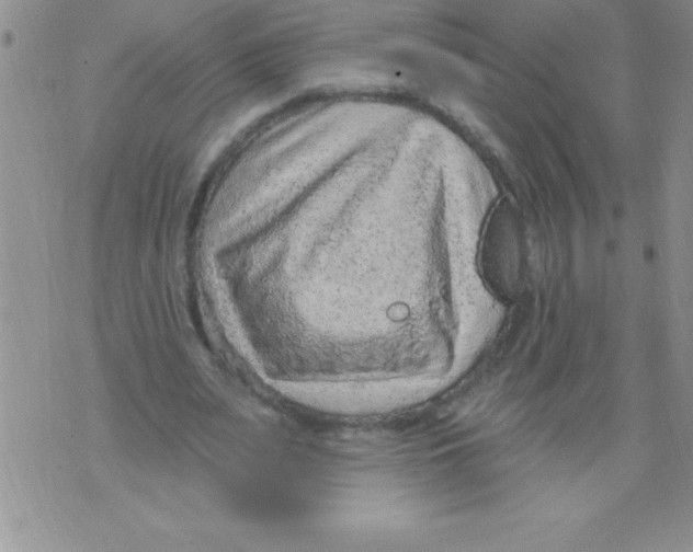 X0000071800487200607282331