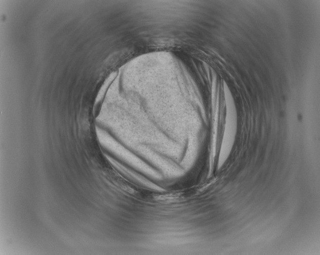 X0000071800516200607282331