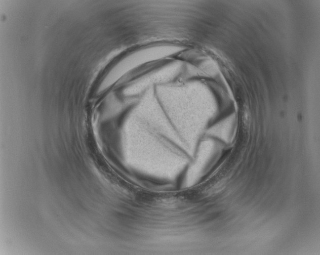 X0000071800540200607282330