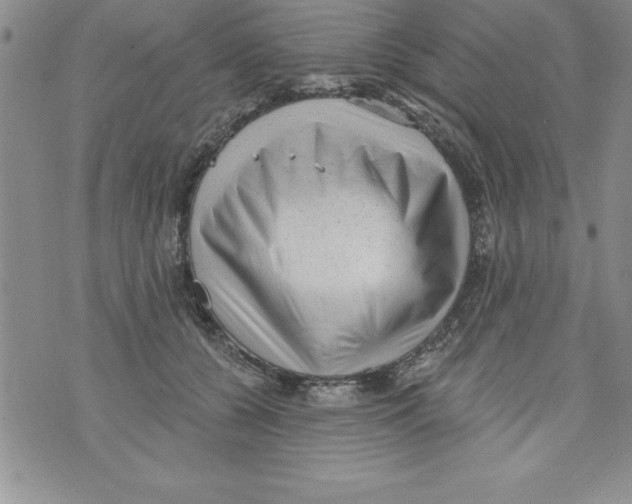 X0000071800560200607282330
