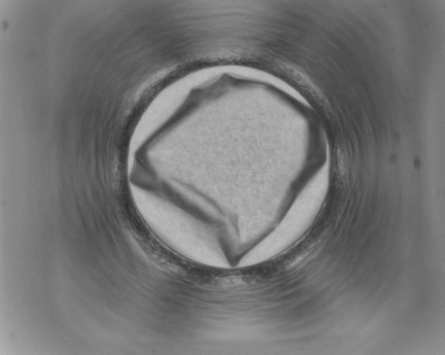 X0000071800588200607282330