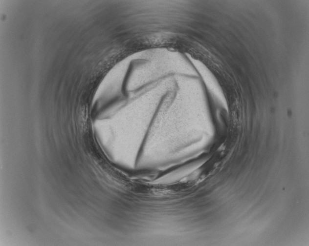 X0000071800605200607282329
