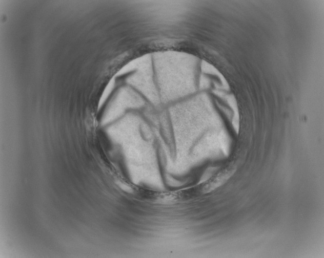 X0000071800624200607282329