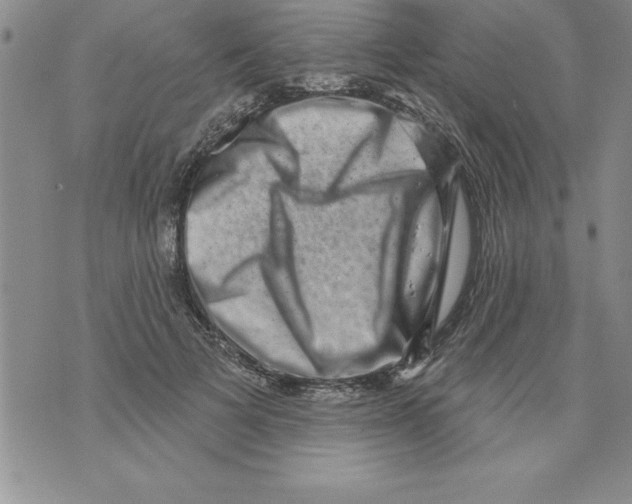 X0000071800697200607282328