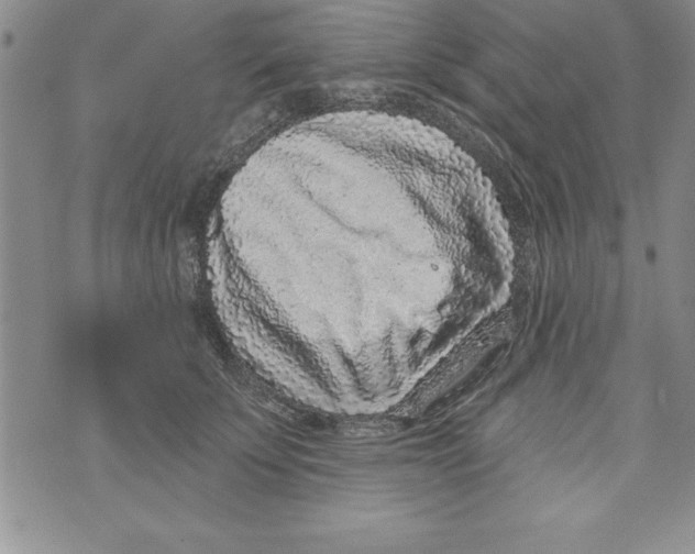X0000071800707200607282328
