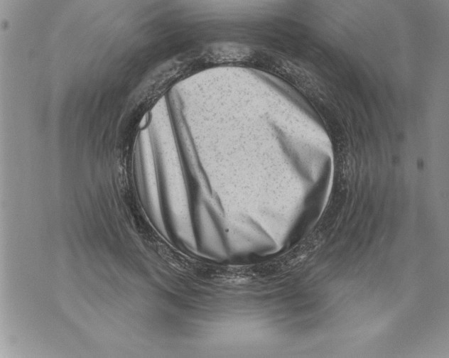 X0000071800743200607282327
