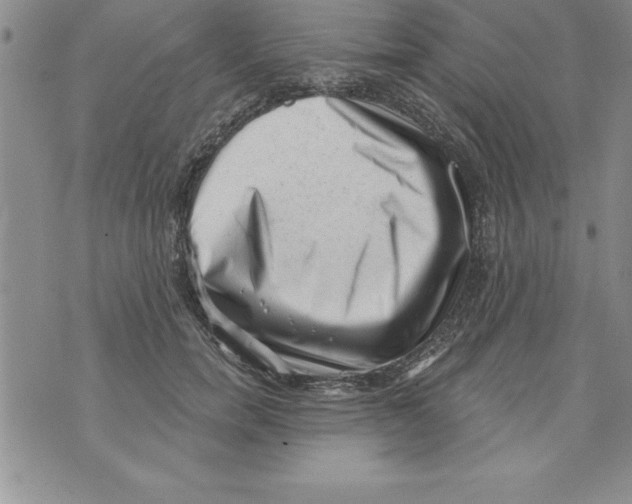 X0000071800750200607282327