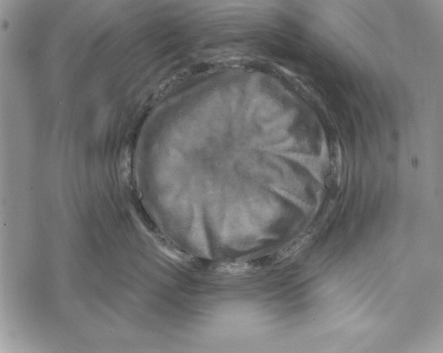 X0000071800767200607282327
