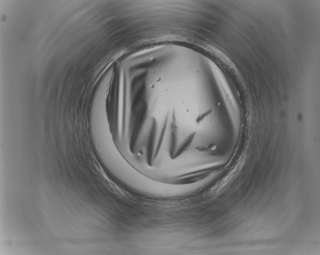 X0000071800793200607282326