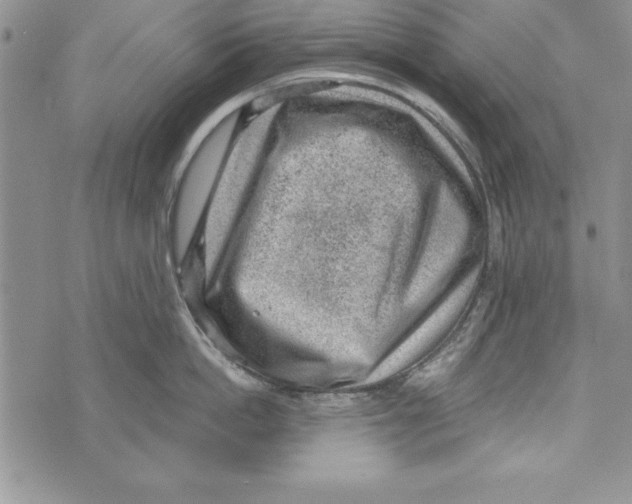 X0000071800862200607282326