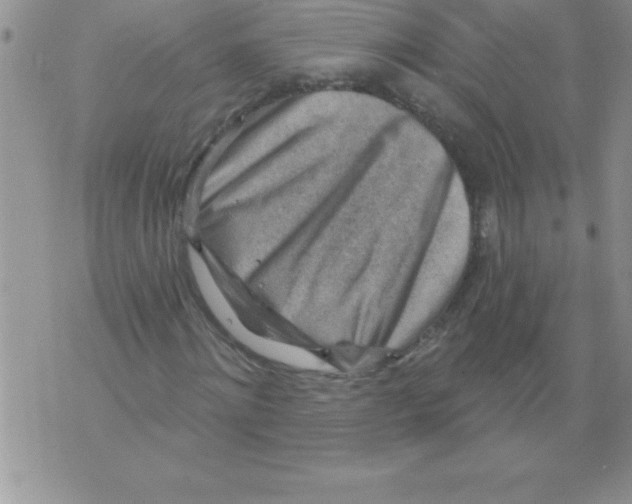 X0000071800868200607282325
