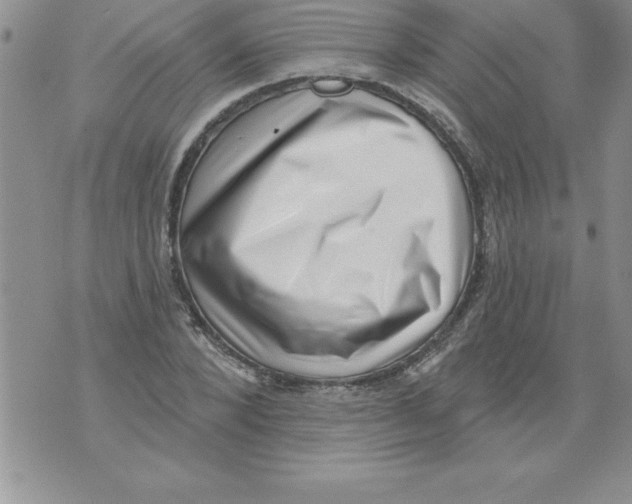 X0000071800880200607282325