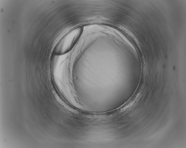 X0000071800941200607282324