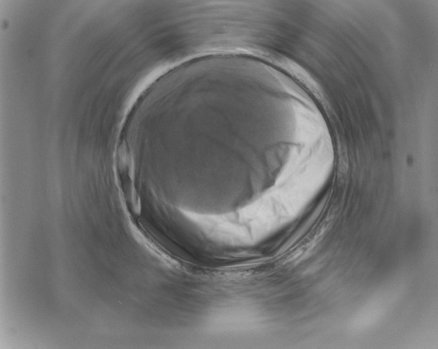 X0000071800958200607282324