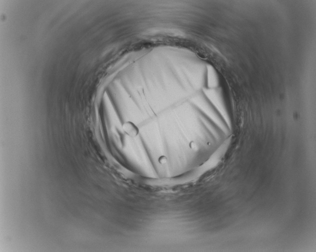 X0000071800965200607282324