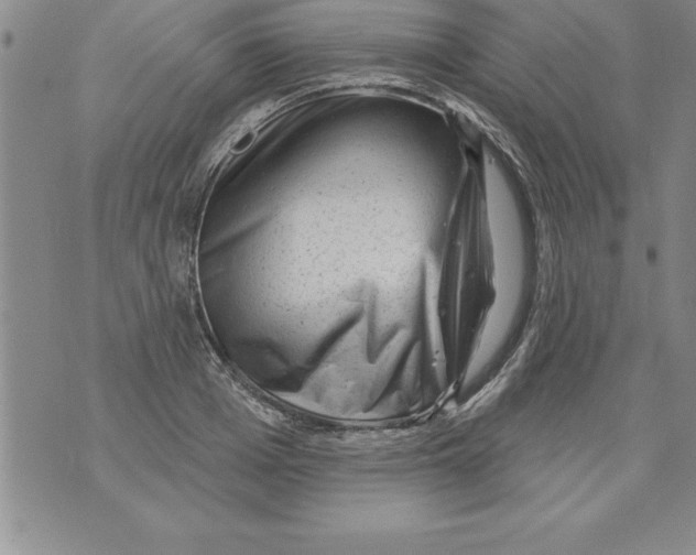 X0000071800985200607282323