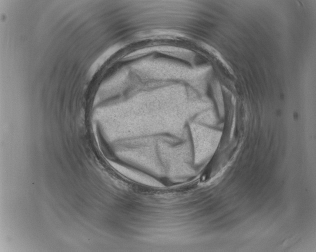 X0000071801066200607282322