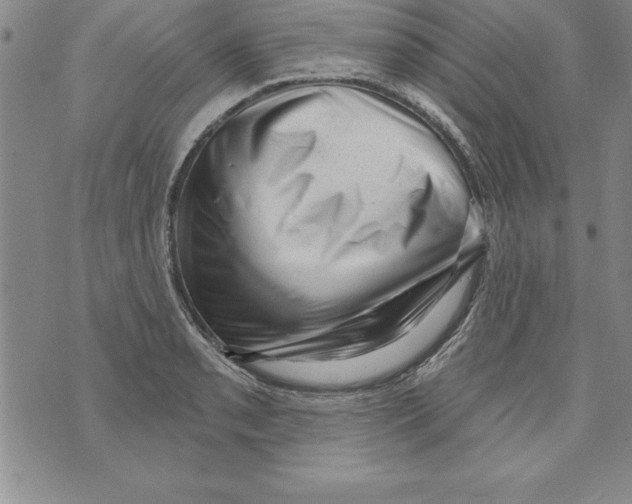 X0000071801085200607282322