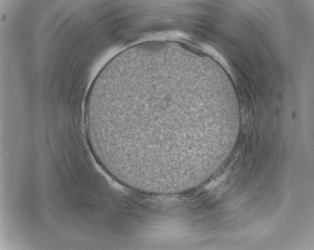 X0000071801103200607282321