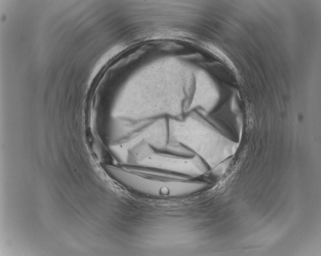 X0000071801138200607282321