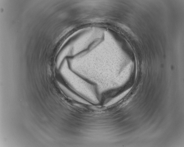 X0000071801209200607282319