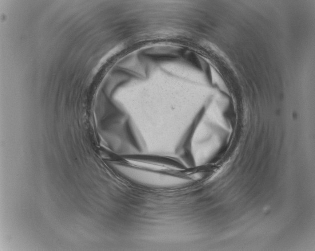 X0000071801210200607282319