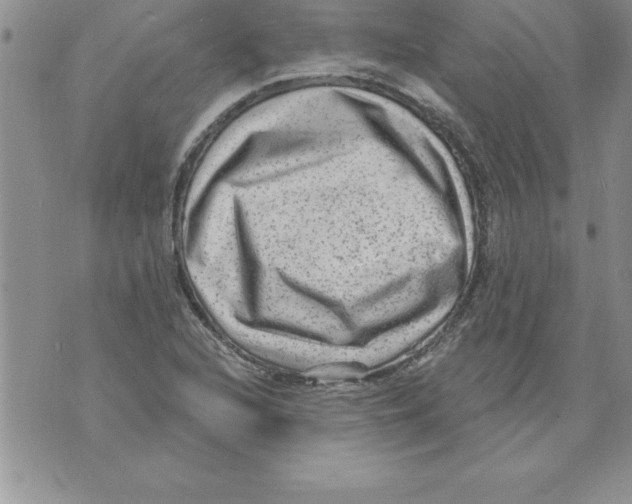 X0000071801216200607282319