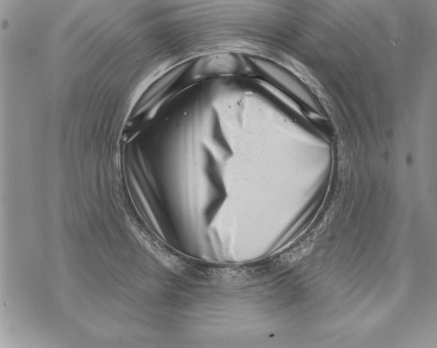 X0000071801234200607282319