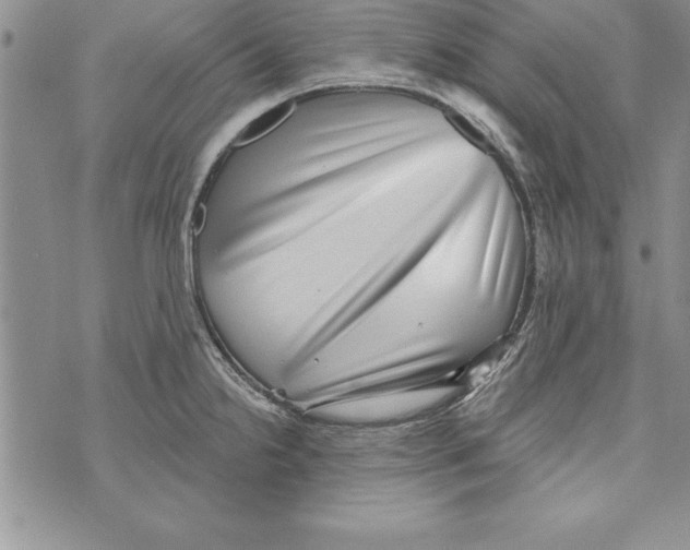X0000071801238200607282320