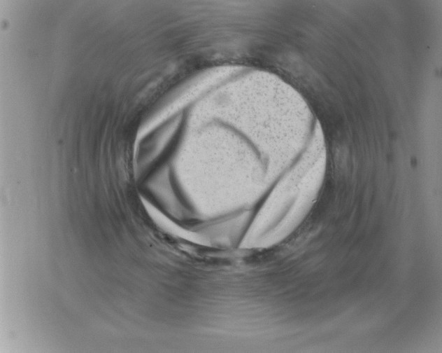 X0000071801250200607282319