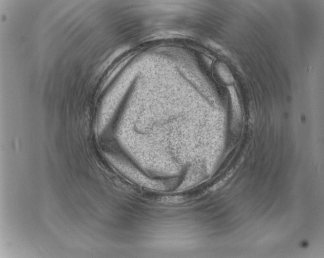 X0000071801313200607282318