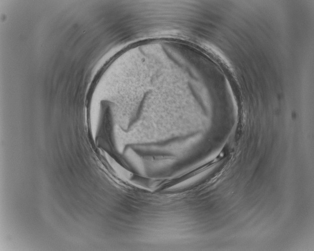 X0000071801324200607282318