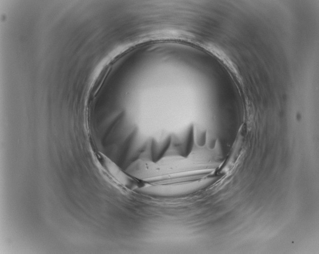 X0000071801342200607282318