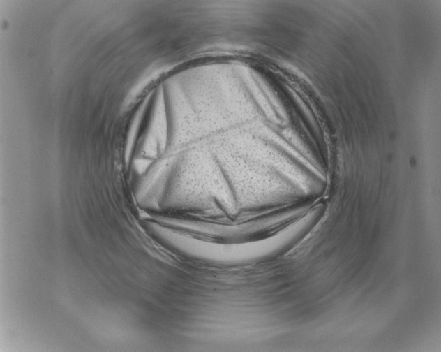 X0000071801355200607282317