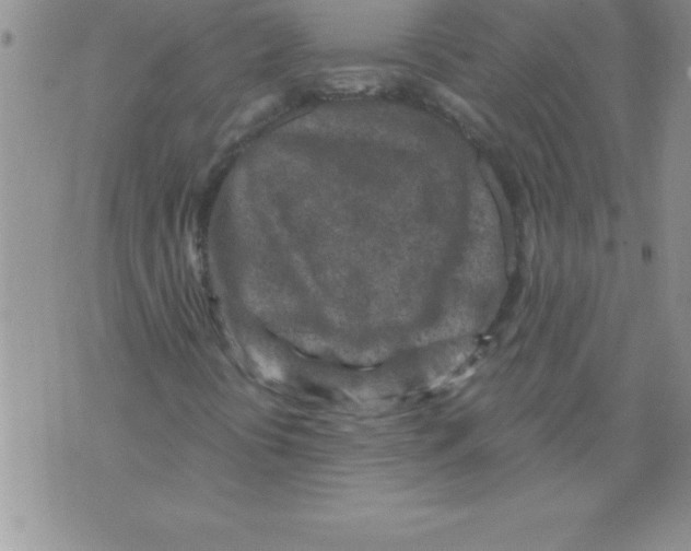 X0000071801394200607282316